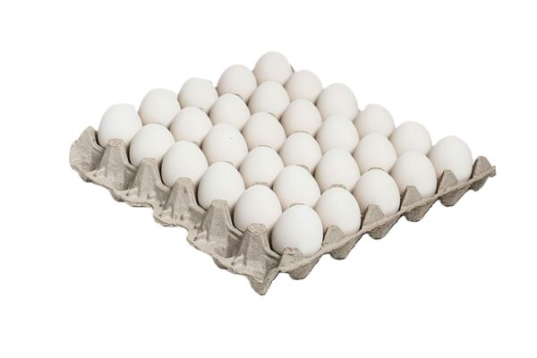 68200 - LARGE FRESH LOOSE EGGS