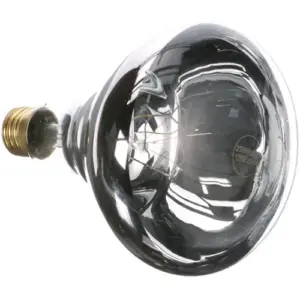 26488 - 250W CLEAR HEAT LAMP BULB