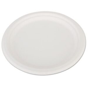 21826 - 10" MOLDED FIBER PLATE