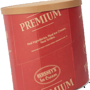 91520 - PREMIUM VANILLA ICE CREAM